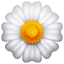 White flower emoji U+1F33C
