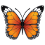 Butterfly emoji U+1F98B
