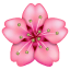 Pink cherry blossom Whatsapp U+1F338