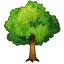 Broad-leafed tree smiley Whatsapp U+1F333