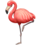 Flamingo Whatsapp U+1F9A9