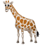 Giraffe emoji U+1F992