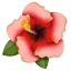 Hibiscus Emoji U+1F33A