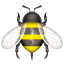Honeybee Emoji Whatsapp U+1F41D