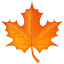 Maple leaf Whatsapp U+1F341