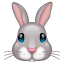 Bunny emoji Whatsapp U+1F430