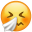 sneezing face emoji U+1F927