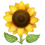 Sunflower emoji U+1F33B