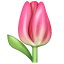 Tulip Emoji U+1F337