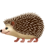 Hedgehog