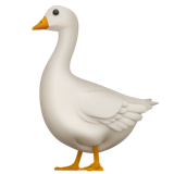 Goose