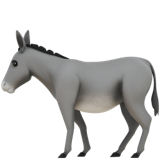 Donkey