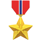 Military medal